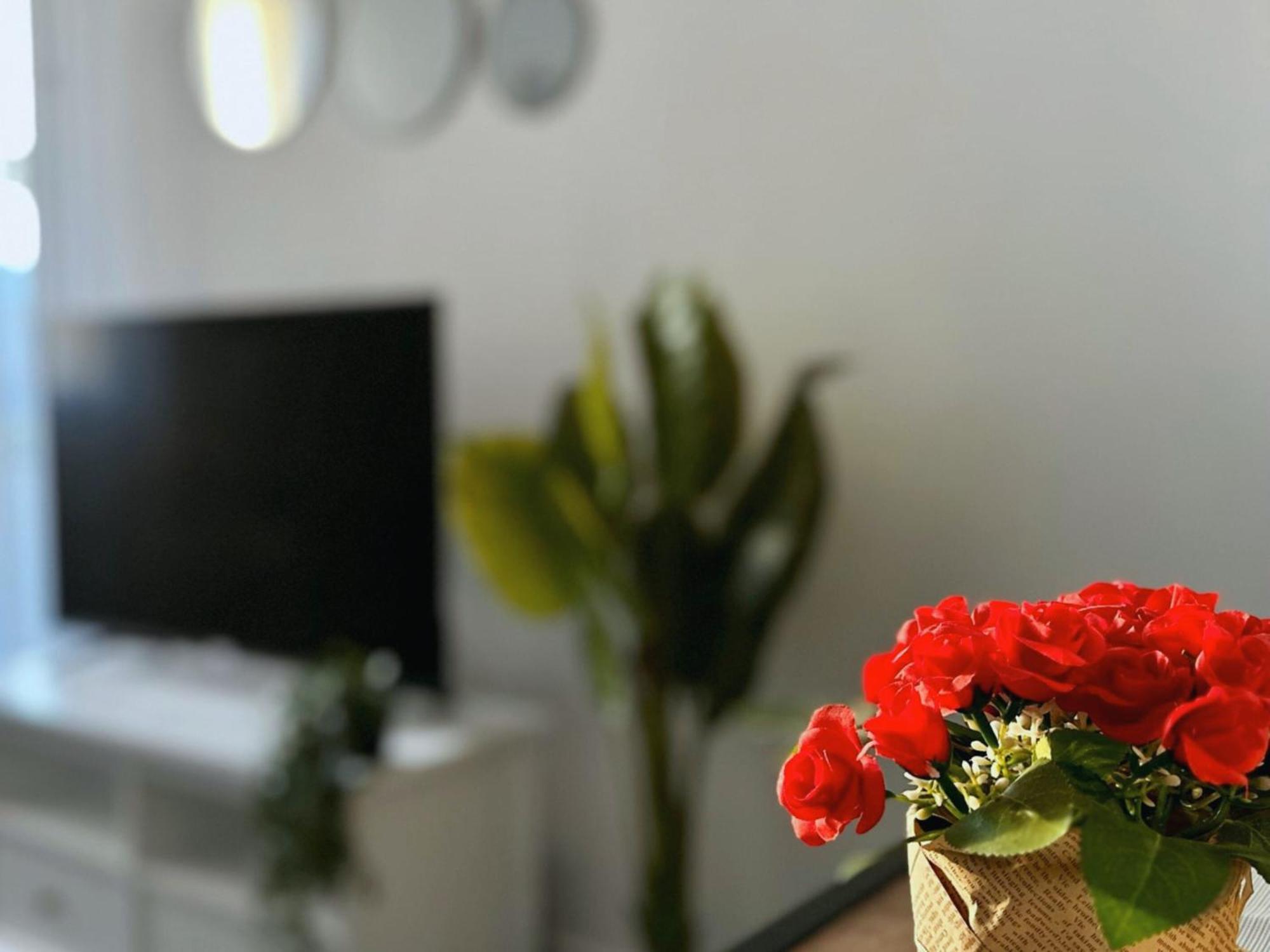 Cosy Palm Beach, Studio Pres De La Mer Et De La Croisette Cannes Eksteriør billede